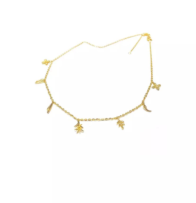 CHOKER ERVAS